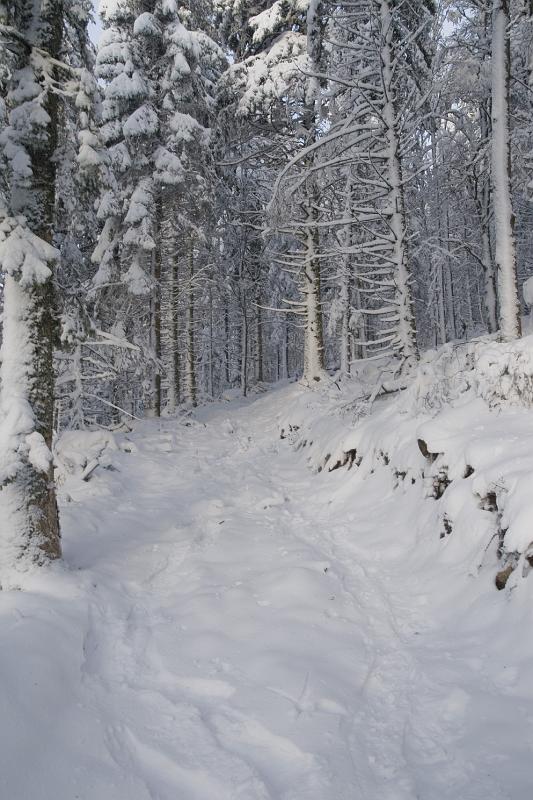 12 - En dessous de la route des crêtes.jpg